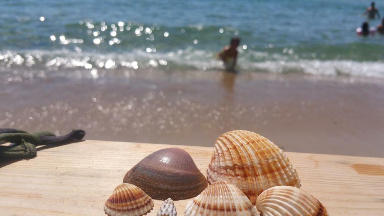 Sweet With Spectacular Sea View Apartament